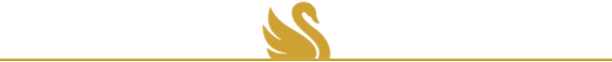 Assisted Living & Memory Care Logo Divider Graphic Aravilla Sarasota