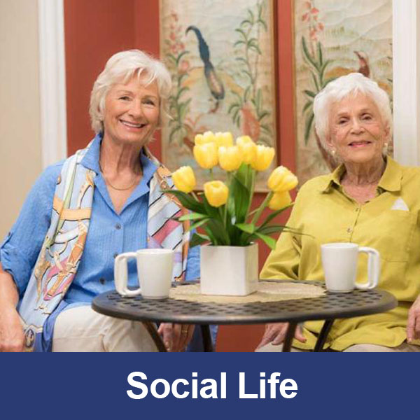 Aravilla Sarasota Memory Care Social Life