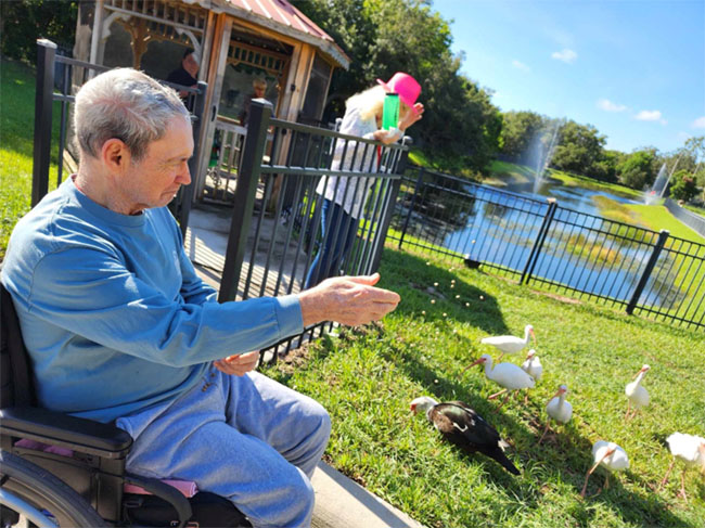 memory care resident feeding swans