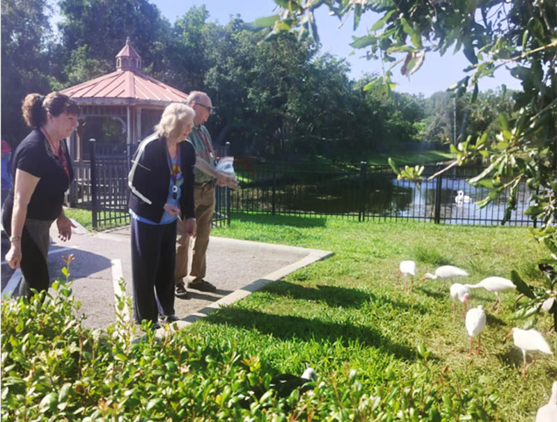 memory care residents feeding the ducks