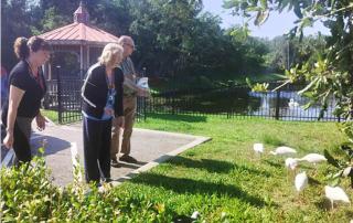 memory care safe activities during the summer