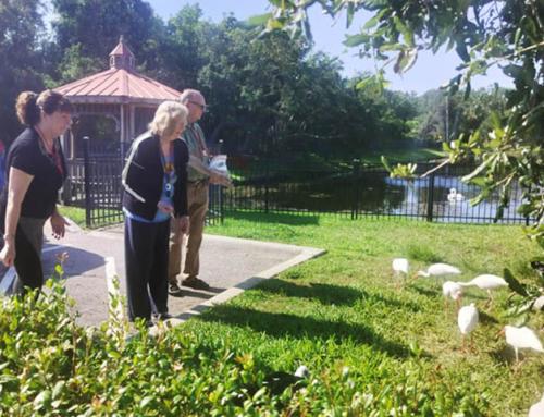 Staying Safe & Engaged This Summer: Memory Care at Aravilla Sarasota