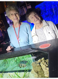 seniors visiting Mote Marine