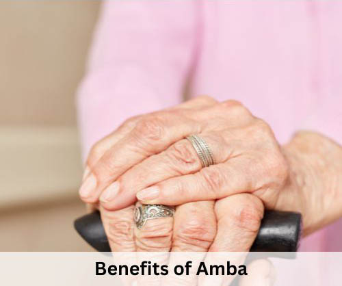 benefits of Amba in memory care for women