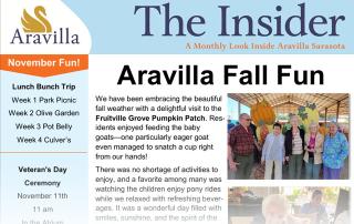 memory care newsletter NOV 2025 image