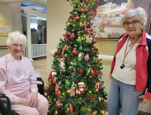 Senior Safety & Emotional Wellness During the Holidays