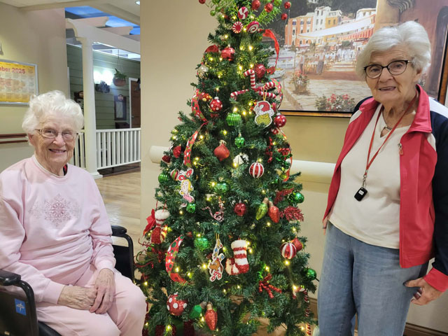 senior safety and emotional wellness during the holidays