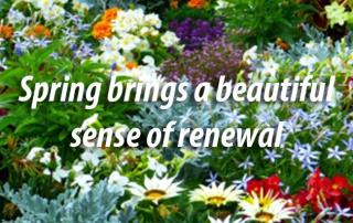spring renewal memory care Aravilla Sarasota