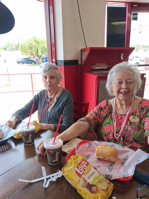 Lunch bunch senior outings